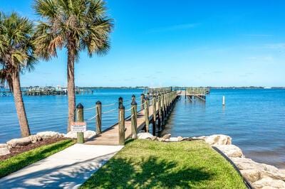 dock area with a water view