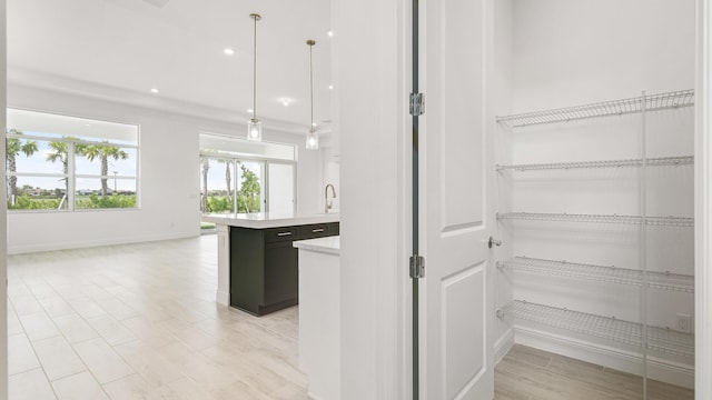 pantry with sink