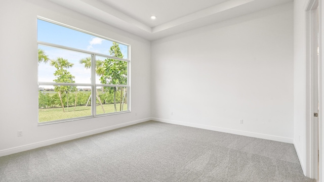 carpeted spare room with a raised ceiling