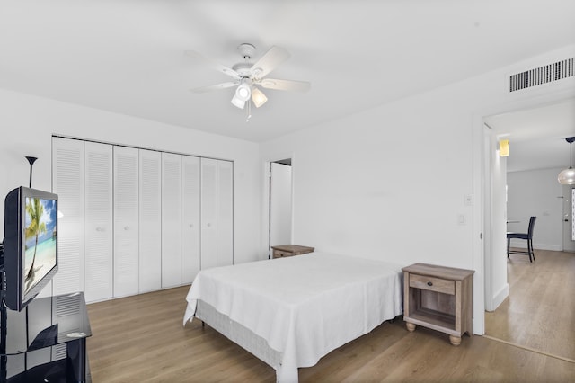 bedroom featuring ceiling fan, a closet, and wood-type flooring