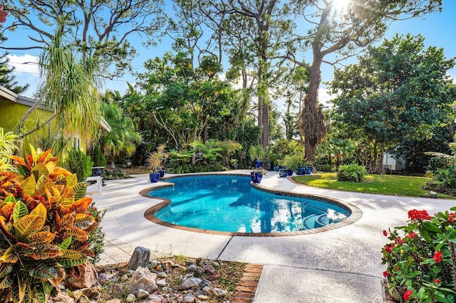 view of swimming pool with a patio area