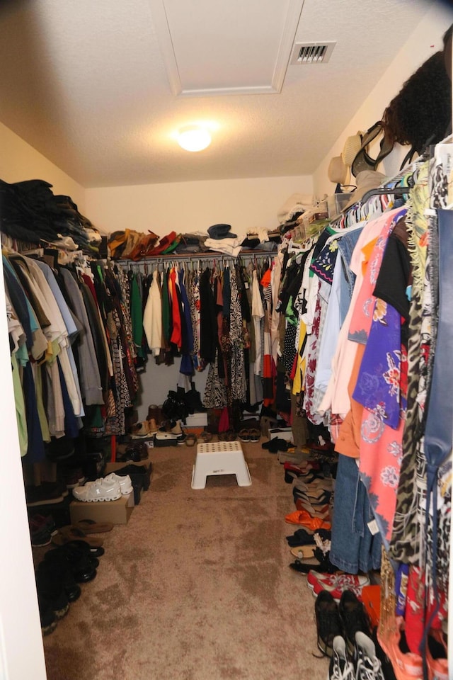 walk in closet featuring carpet floors