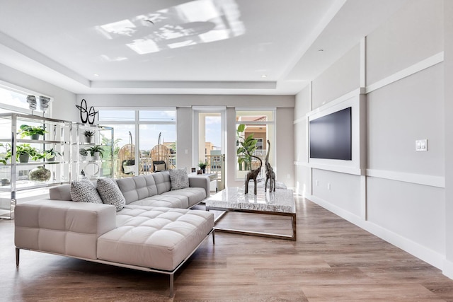 living room with wood-type flooring and a raised ceiling