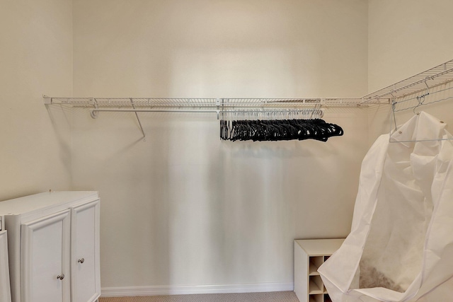 spacious closet featuring light colored carpet