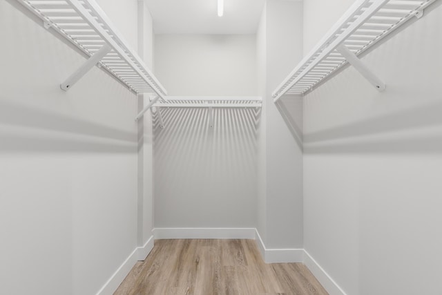 walk in closet with light hardwood / wood-style floors