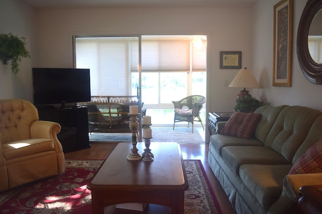 living room featuring wood-type flooring