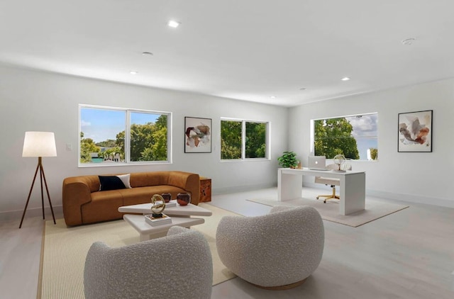 living room featuring light hardwood / wood-style flooring