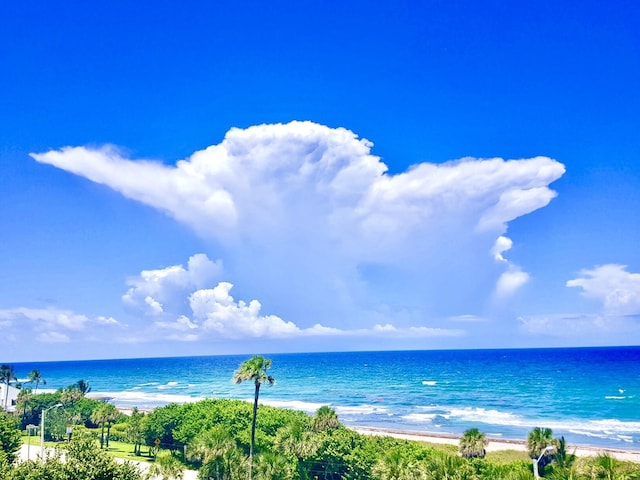 property view of water with a beach view