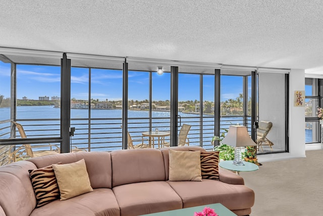 sunroom featuring a wealth of natural light and a water view