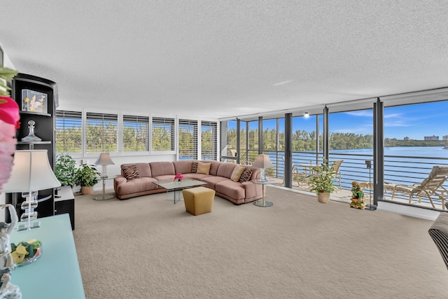 sunroom with a water view