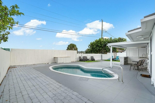 view of pool with a patio