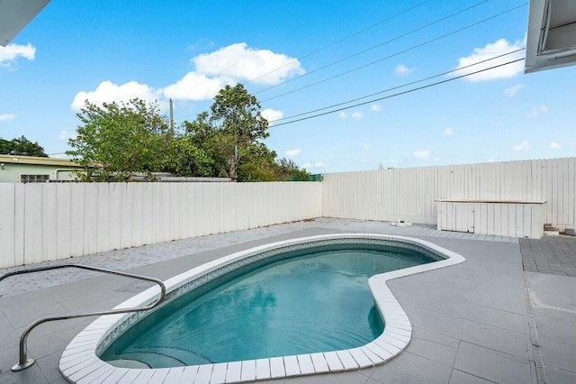 view of pool featuring a patio