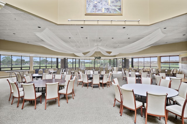 carpeted dining room featuring a chandelier and track lighting