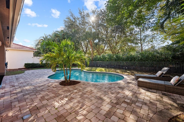 view of pool featuring a patio area