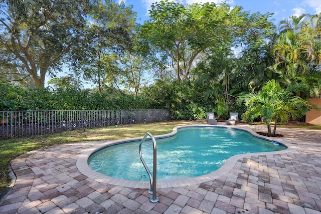 view of swimming pool with a patio