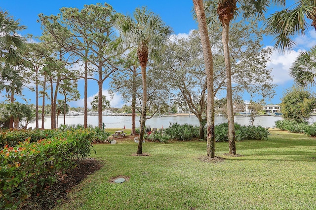 view of yard featuring a water view