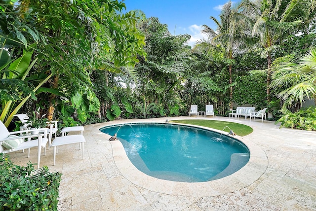 view of pool with a patio area