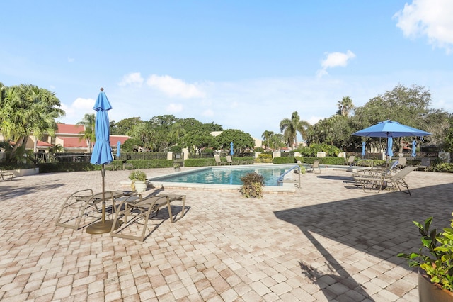 view of swimming pool with a patio