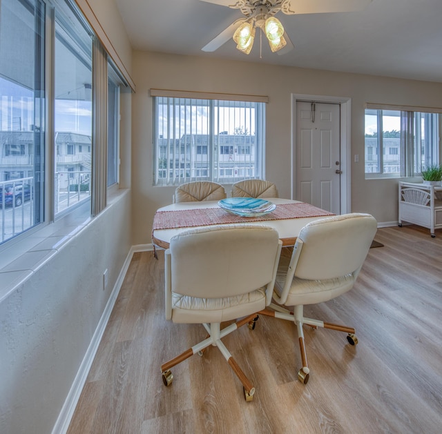 dining room with ceiling fan and light hardwood / wood-style flooring