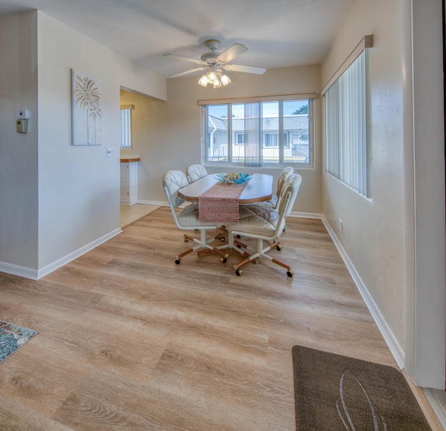 dining room with ceiling fan and light hardwood / wood-style flooring