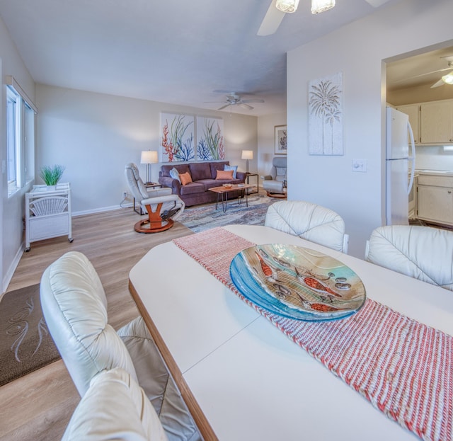 living room with ceiling fan and light hardwood / wood-style flooring