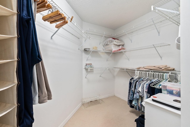 spacious closet with light colored carpet