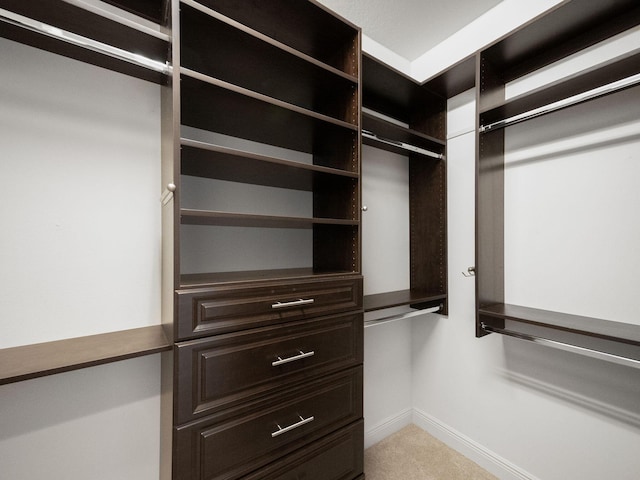 spacious closet featuring carpet