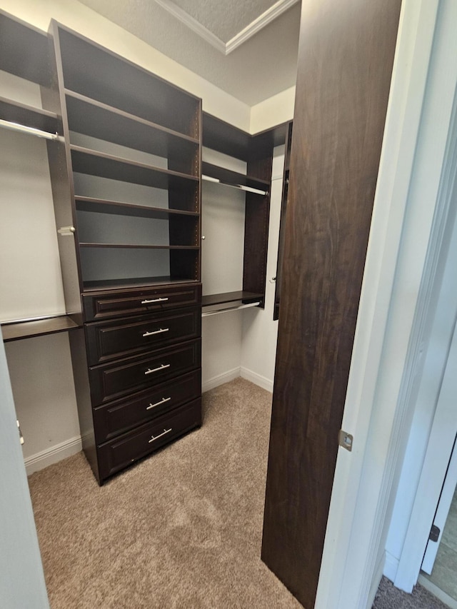 spacious closet with light carpet