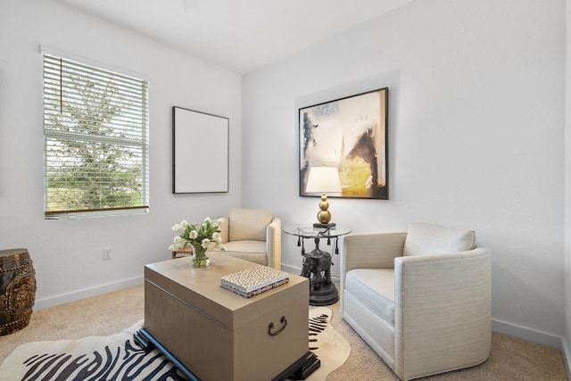 sitting room with light colored carpet