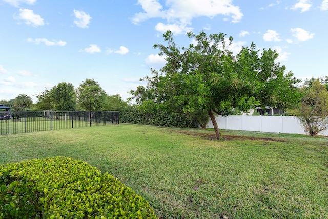 view of yard