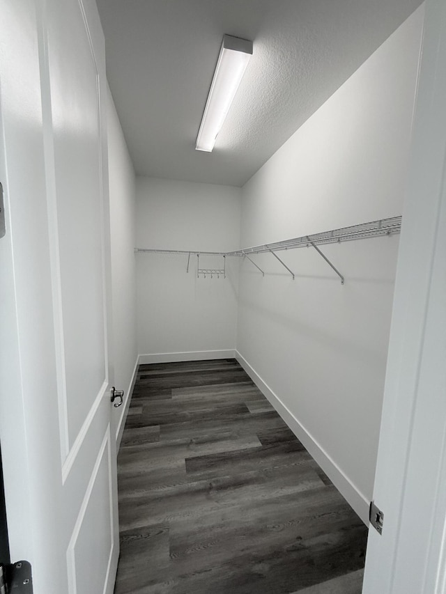 spacious closet with dark wood-type flooring