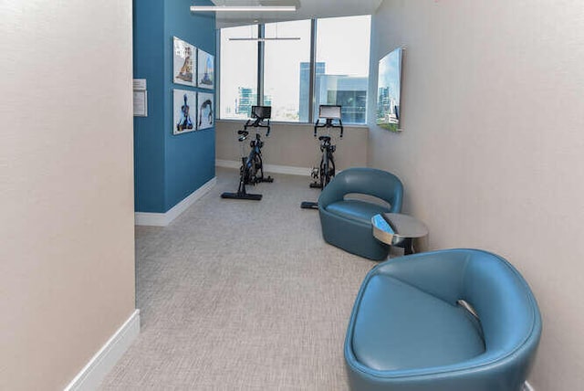 exercise room featuring light carpet