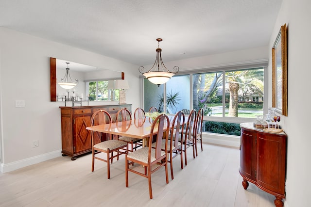 dining room with plenty of natural light