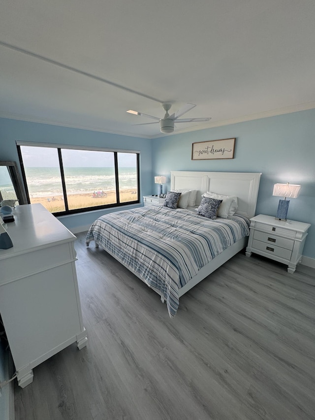 bedroom featuring ceiling fan and hardwood / wood-style flooring