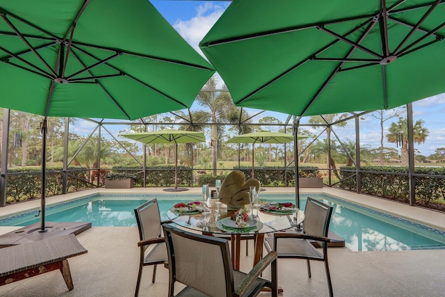 view of swimming pool featuring a patio area