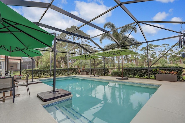 view of pool with a patio and a lanai