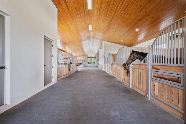 view of stable