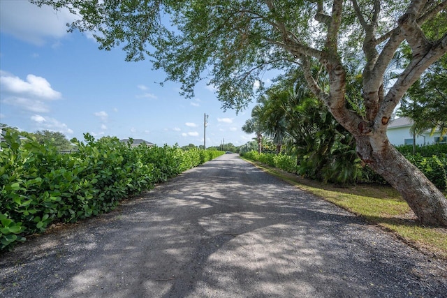 view of road