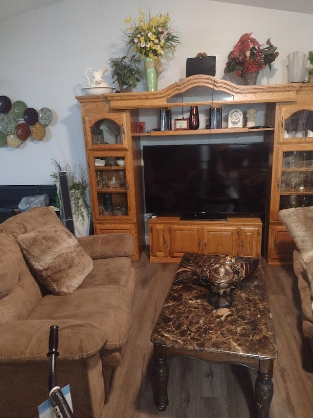 living room with hardwood / wood-style flooring