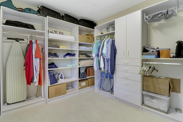 walk in closet with light colored carpet