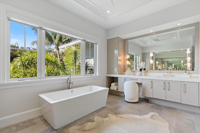 bathroom featuring ornamental molding, vanity, a tray ceiling, and a washtub