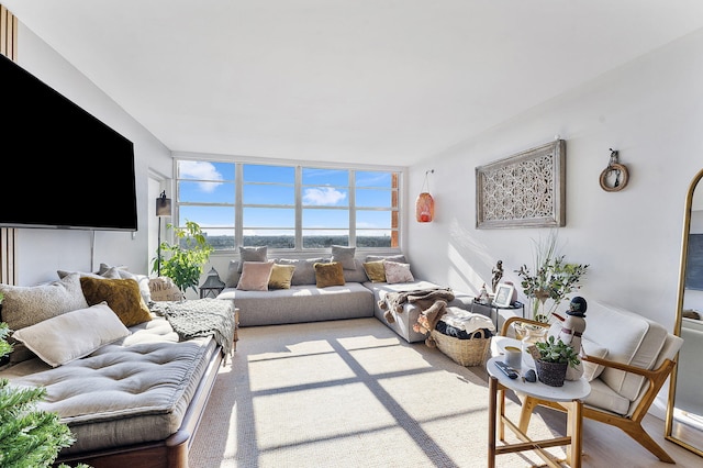 living room with a wall of windows