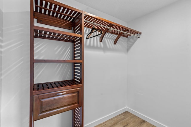 spacious closet with hardwood / wood-style floors