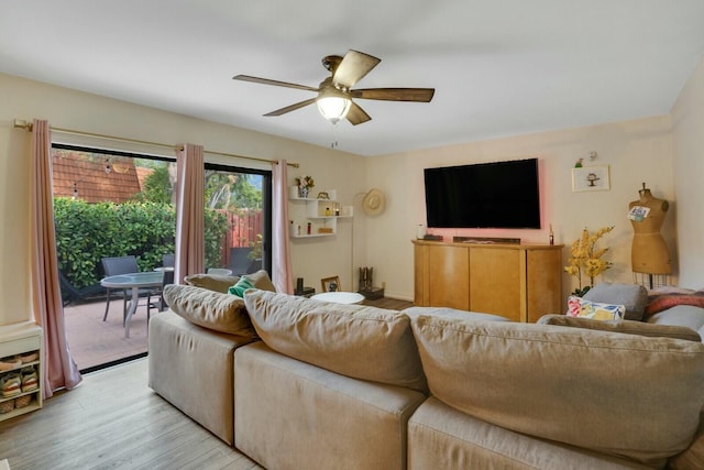 living room with ceiling fan and light hardwood / wood-style floors