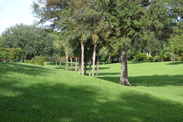 view of community with a yard