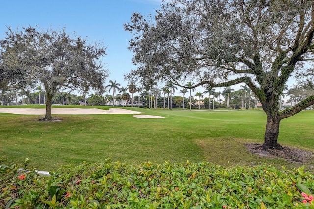 view of community featuring a yard