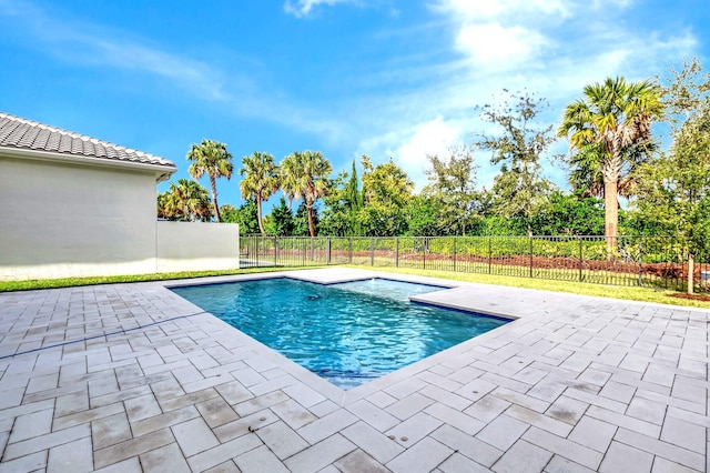 view of swimming pool featuring a patio area