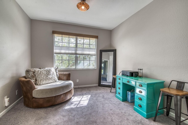 sitting room featuring light colored carpet