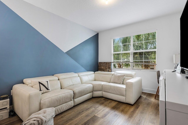 living room featuring dark wood-type flooring and lofted ceiling