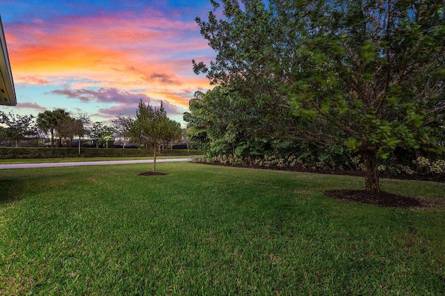 view of yard at dusk